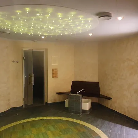 Hotel Vista Carnica 3*